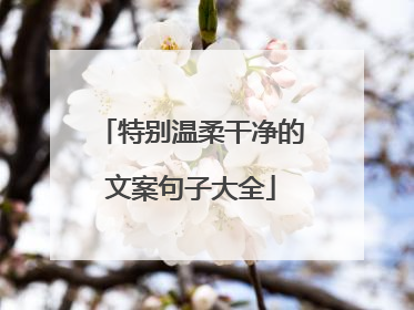 特别温柔干净的文案句子大全