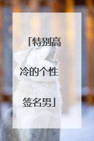 特别高冷的个性签名男