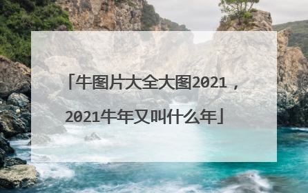 牛图片大全大图2021，2021牛年又叫什么年