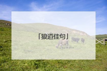 狼道佳句