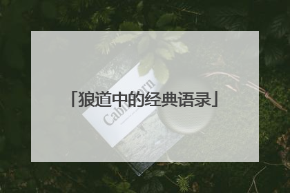 狼道中的经典语录