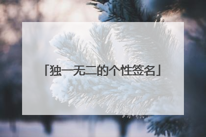 独一无二的个性签名