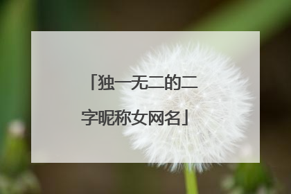 独一无二的二字昵称女网名