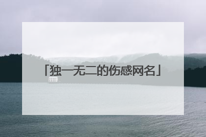 独一无二的伤感网名
