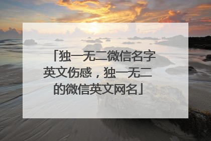 独一无二微信名字英文伤感，独一无二的微信英文网名