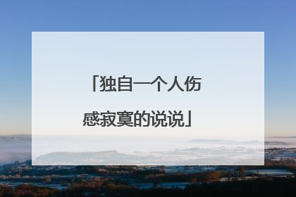 独自一个人伤感寂寞的说说