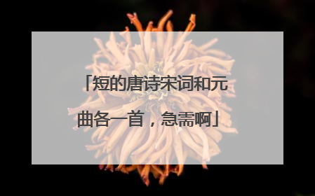 短的唐诗宋词和元曲各一首,急需啊