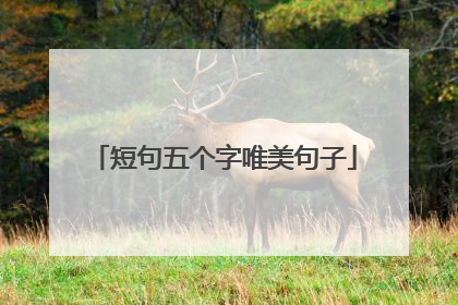 短句五个字唯美句子