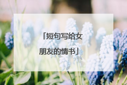短句写给女朋友的情书