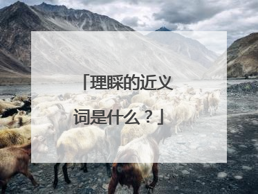 理睬的近义词是什么?