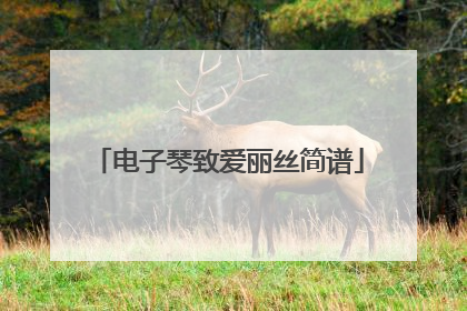电子琴致爱丽丝简谱