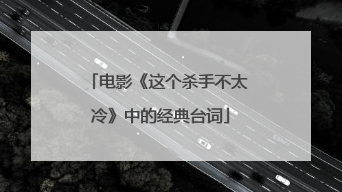 电影《这个杀手不太冷》中的经典台词