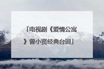 电视剧《爱情公寓》曾小贤经典台词