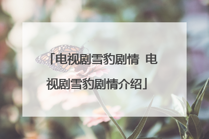 电视剧雪豹剧情 电视剧雪豹剧情介绍