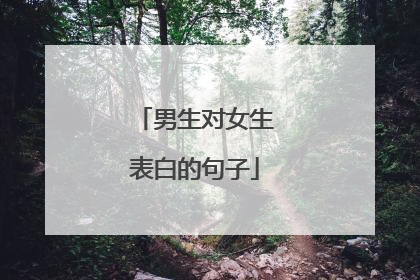 男生对女生表白的句子