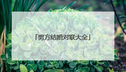 男方结婚对联大全