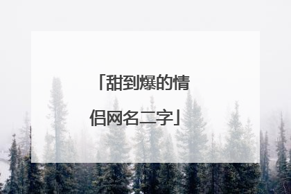 甜到爆的情侣网名二字