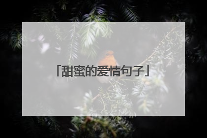 甜蜜的爱情句子
