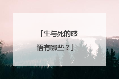 生与死的感悟有哪些？