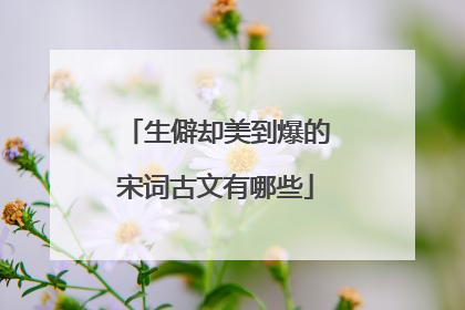 生僻却美到爆的宋词古文有哪些