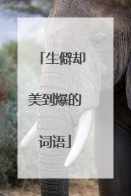 生僻却美到爆的词语