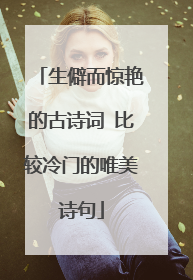 生僻而惊艳的古诗词 比较冷门的唯美诗句