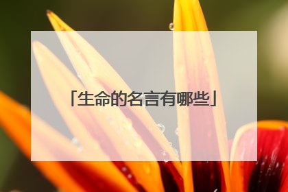 生命的名言有哪些