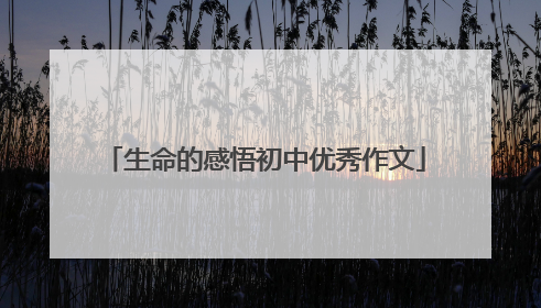 生命的感悟初中优秀作文