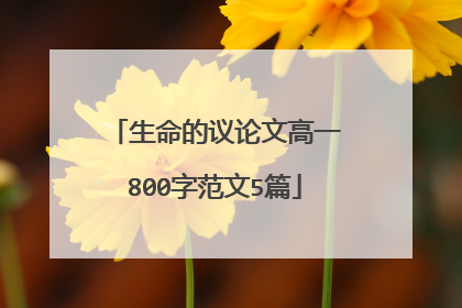 生命的议论文高一800字范文5篇