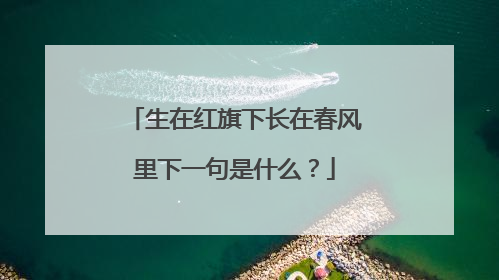 生在红旗下长在春风里下一句是什么？