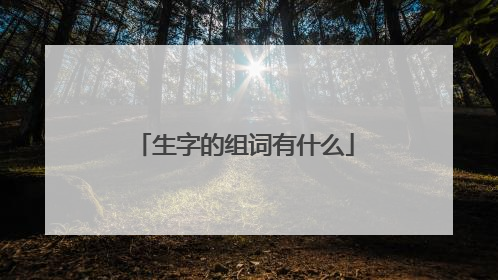 生字的组词有什么