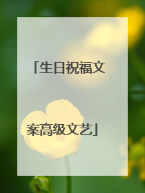 生日祝福文案高级文艺