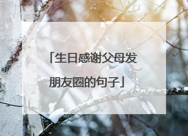 生日感谢父母发朋友圈的句子