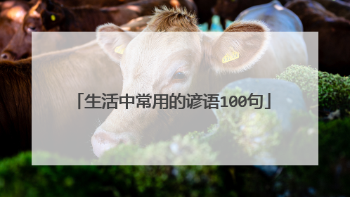 生活中常用的谚语100句