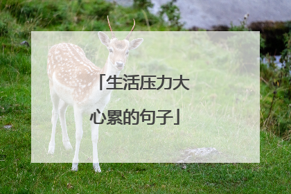 生活压力大心累的句子