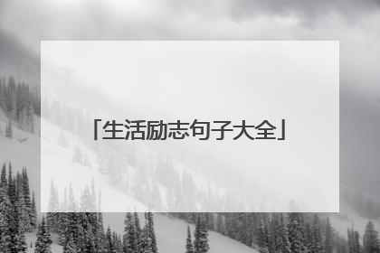 生活励志句子大全