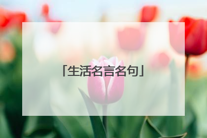生活名言名句
