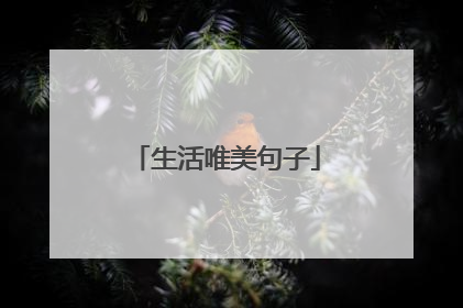 生活唯美句子