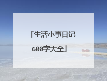 生活小事日记600字大全