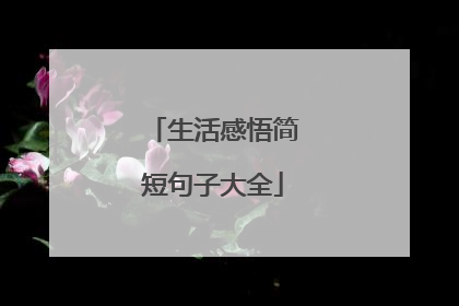 生活感悟简短句子大全