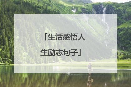 生活感悟人生励志句子