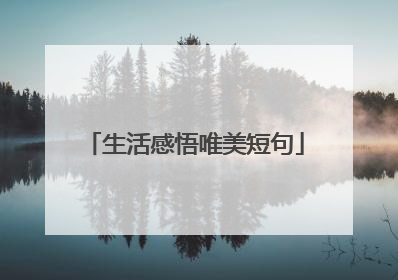 生活感悟唯美短句