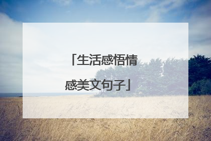生活感悟情感美文句子