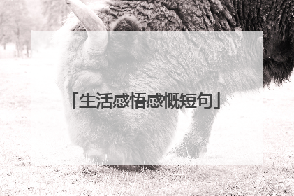 生活感悟感慨短句
