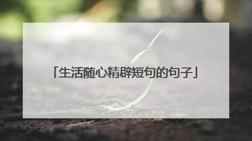 生活随心精辟短句的句子