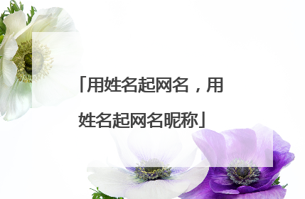 用姓名起网名，用姓名起网名昵称