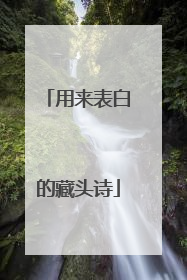 用来表白的藏头诗