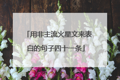 用非主流火星文来表白的句子四十一条