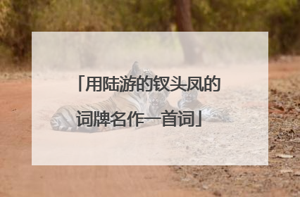 用陆游的钗头凤的词牌名作一首词