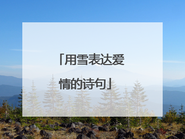 用雪表达爱情的诗句